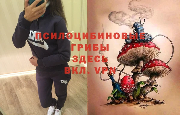 дурь Зеленокумск