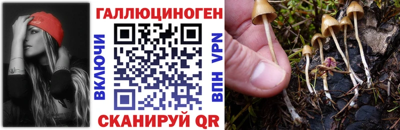 Галлюциногенные грибы Psilocybine cubensis  Свободный 