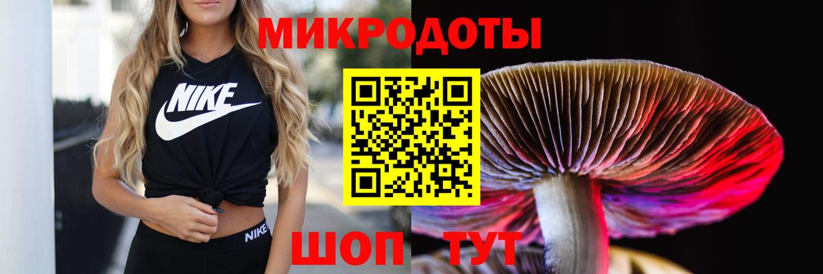 Псилоцибиновые грибы мицелий  Вход с VPN  Галлюциногенные грибы Psilocybine cubensis  Свободный 
